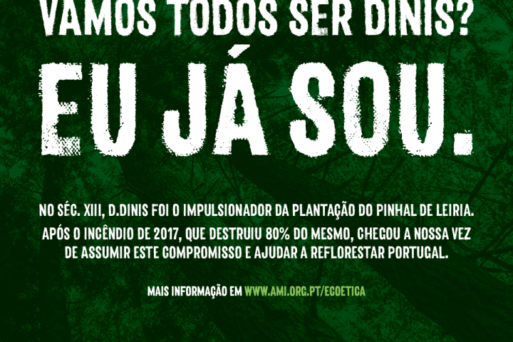 Vamos todos ser Dinis?